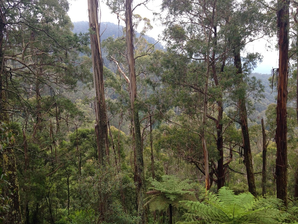 South Coast NSW.