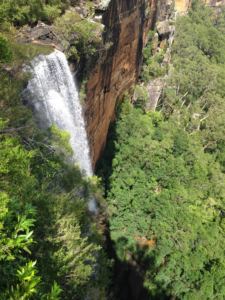 Fitzroy Fall NSW